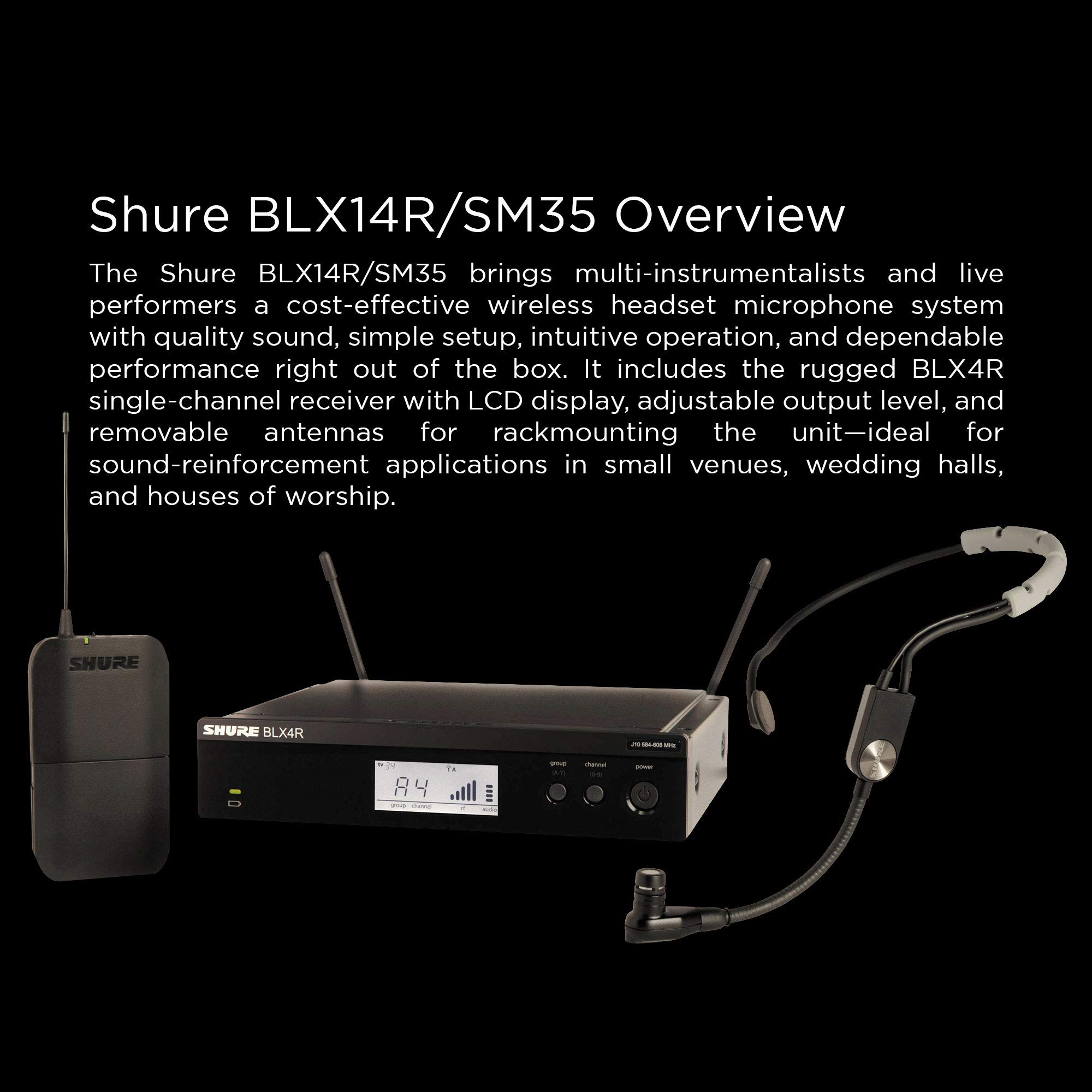 Shure BLX14R/SM35 : Amazon.in: Musical Instruments